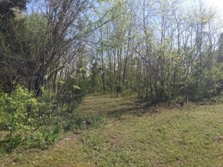 4015 Calista Road Cross Plains, TN 37049 - Photo 8 of 15 Gallery Image 8