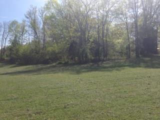 4015 Calista Road Cross Plains, TN 37049 - Photo 10 of 15 Gallery Image 10