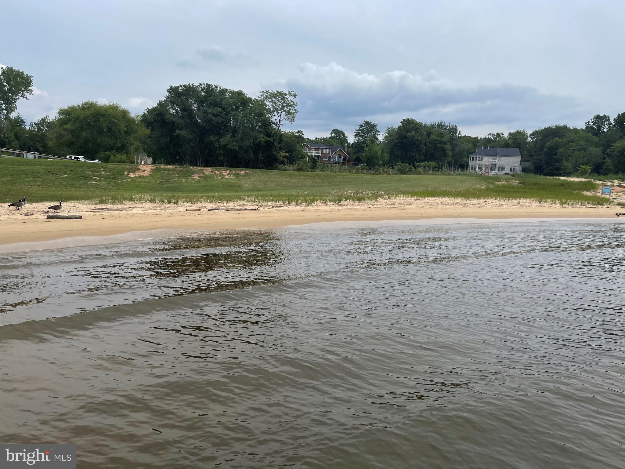 8100 Pinehurst Harbour Way Pasadena, MD 21122 - Photo 9 of 70 Wildlife abounds as there are protected wetlands.