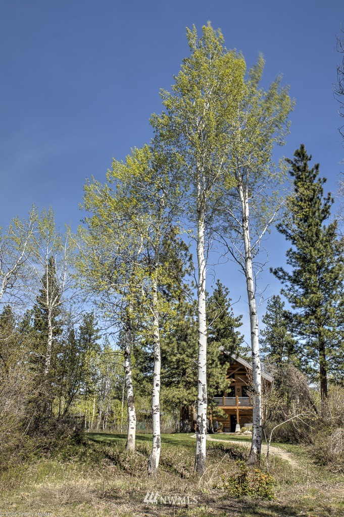 24 Wright Road Winthrop, WA 98862 - Photo 4 of 25 Gallery Image 4