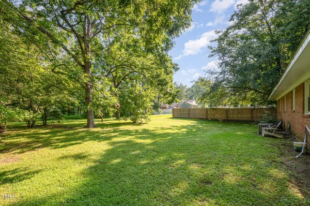 a view of a trees in a yard