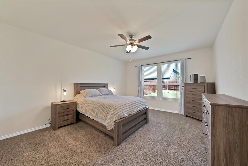 10321 Geode Street Aubrey, TX 76227 - Photo 19 of 39