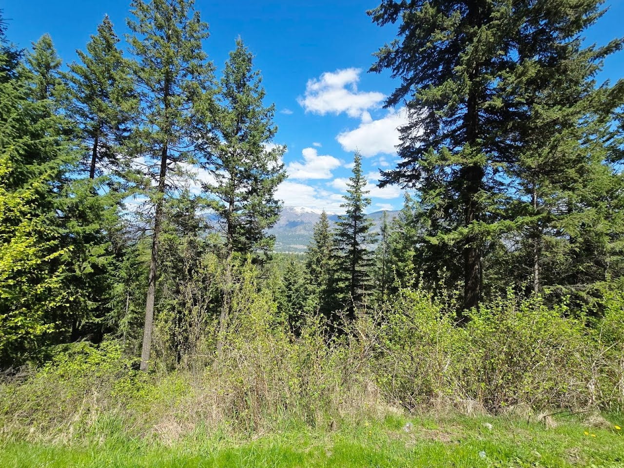 93 Wapiti Point Road Thompson Falls, MT 59873 - Photo 17 of 20 Gallery Image 17
