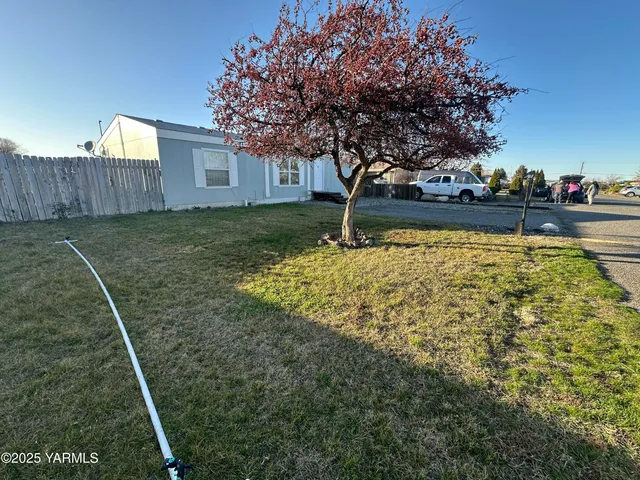a view of backyard with tree