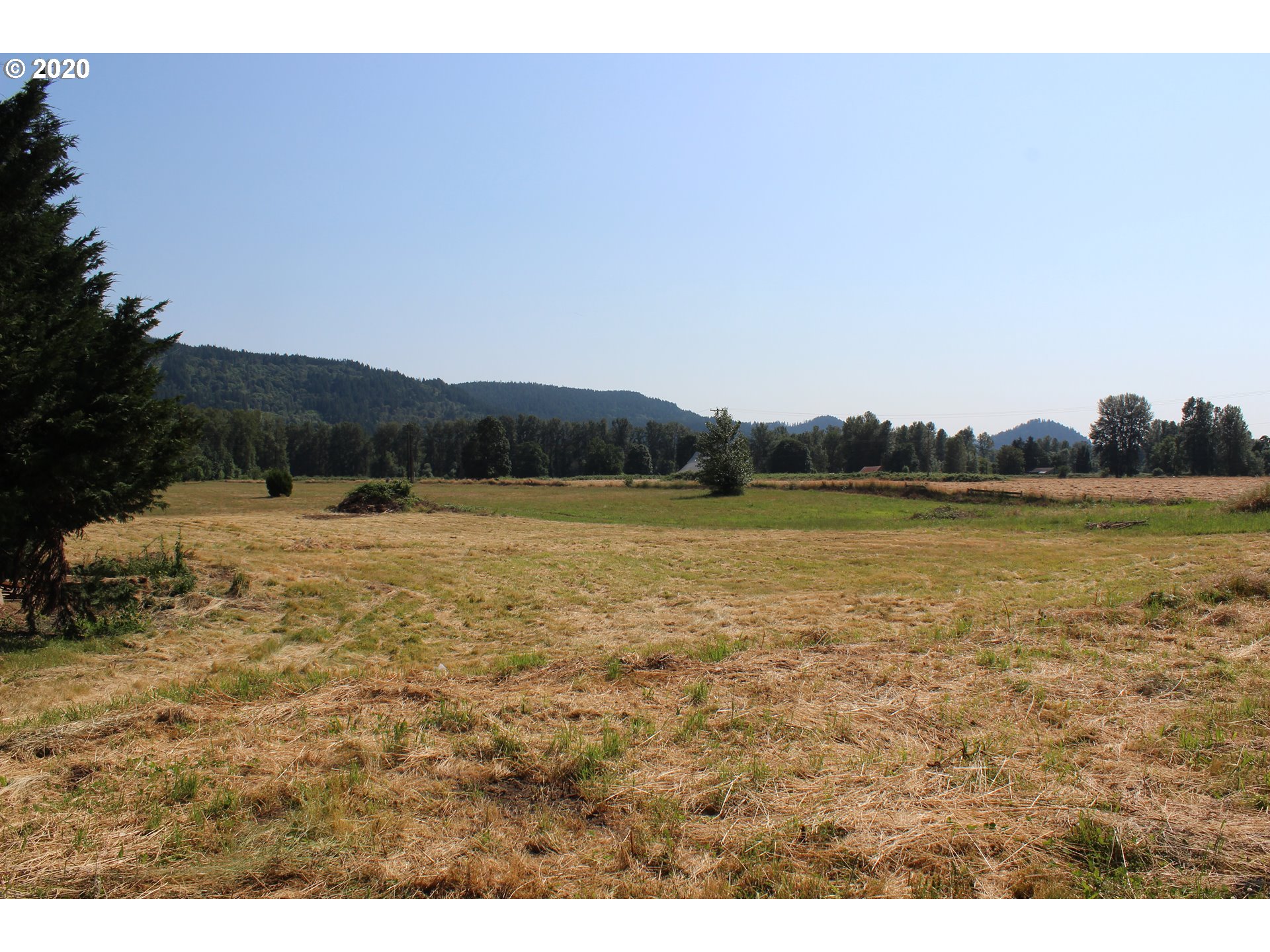 37856 M J Chase Road Springfield, OR 97478 - Photo 11 of 18