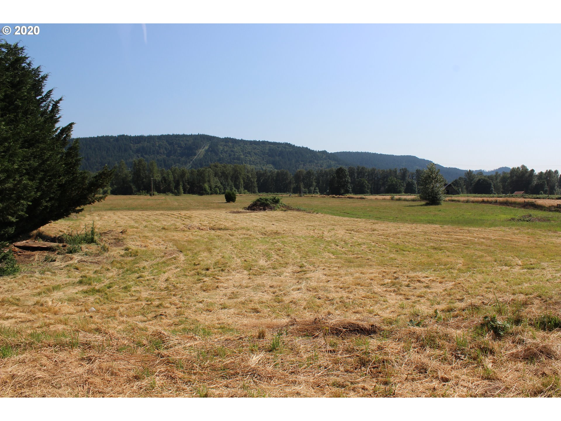 37856 M J Chase Road Springfield, OR 97478 - Photo 9 of 18