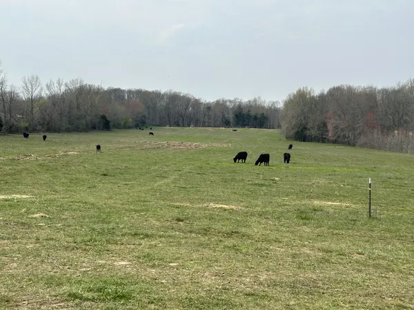 a view of an outdoor space and a yard