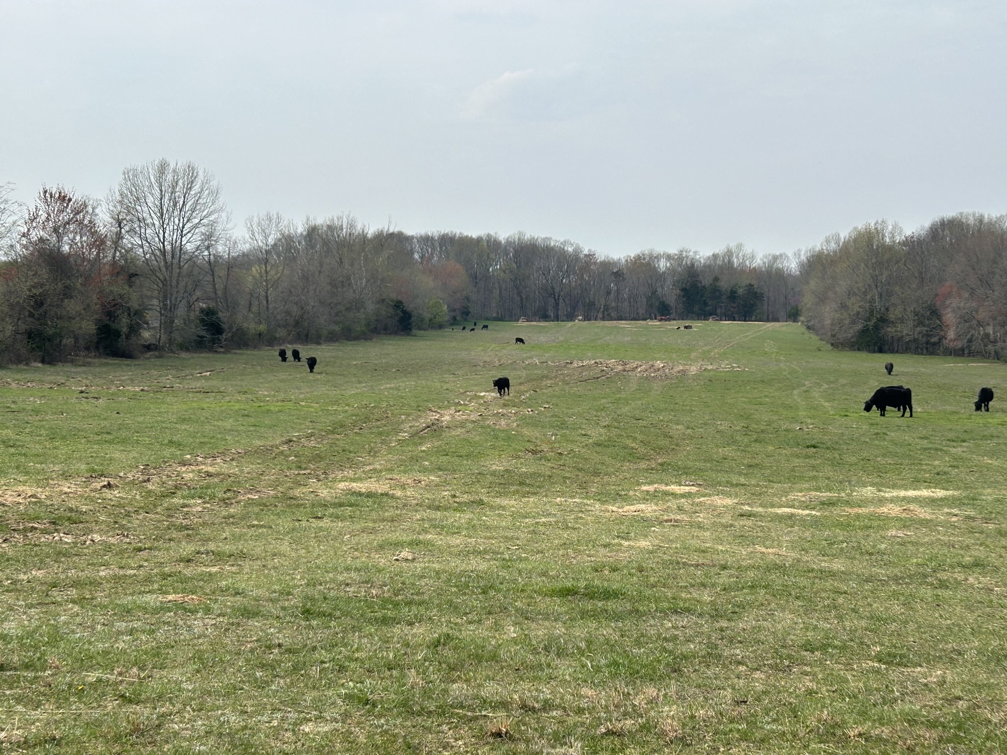 0 Washington Road Springfield, TN 37172 - Photo 3 of 6 a view of a lake with trees in the background