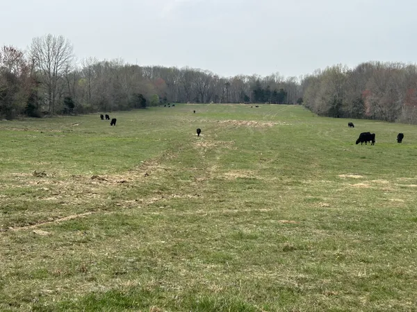 a view of an outdoor space