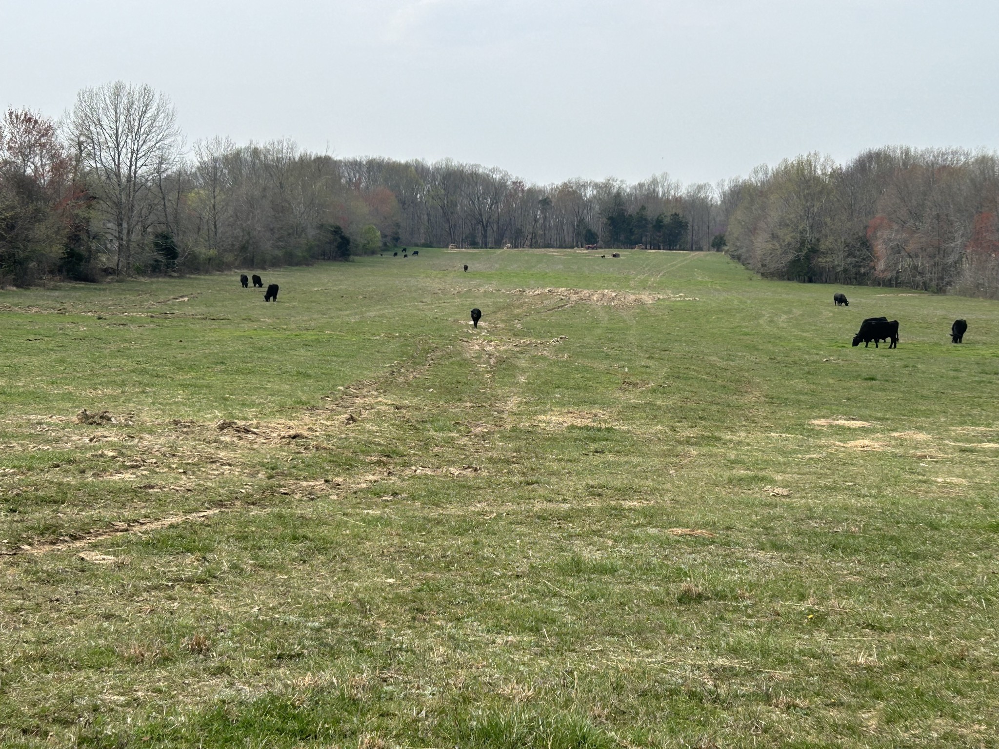 0 Washington Road Springfield, TN 37172 - Photo 4 of 6 a view of an outdoor space