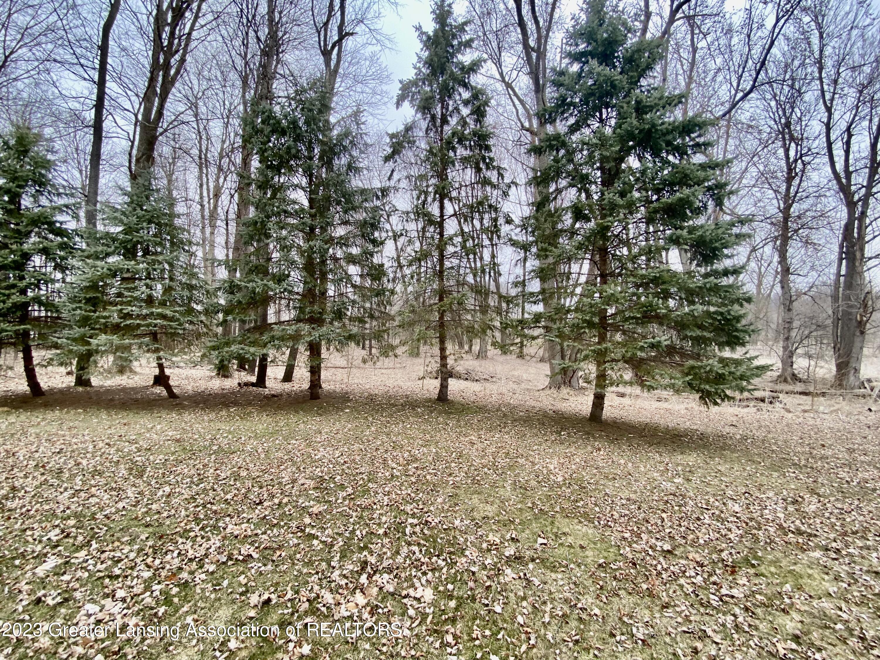 8924 Royston Road Grand Ledge, MI 48837 - Photo 32 of 39 IMG-6237