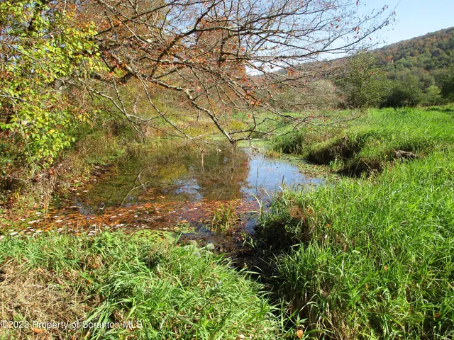 a backyard of a house with lots of green space and trees all around