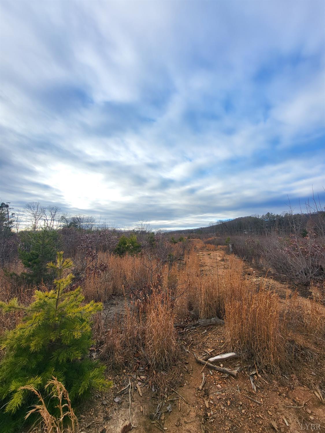 0 Bethany Road Rustburg, VA 24588 - Photo 3 of 8 a view of a lake with lots of trees