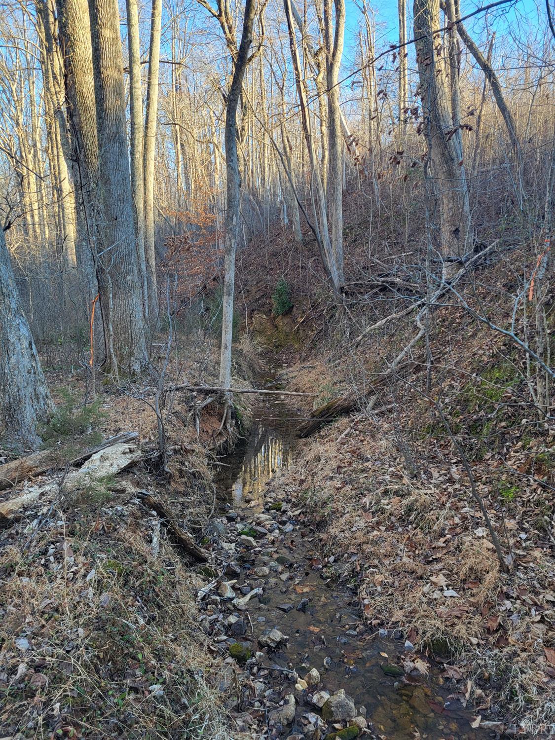 0 Bethany Road Rustburg, VA 24588 - Photo 4 of 8 a backyard of a house with lots of green space