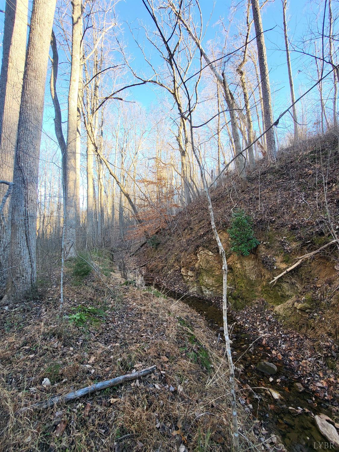 0 Bethany Road Rustburg, VA 24588 - Photo 5 of 8 a backyard of a house with lots of green space