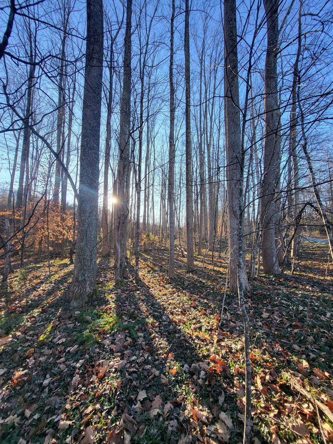 0 Bethany Road Rustburg, VA 24588 - Photo 6 of 8 a backyard of a house with lots of green space