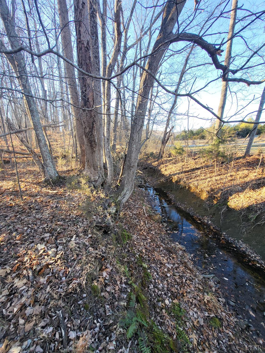 0 Bethany Road Rustburg, VA 24588 - Photo 7 of 8 a view of a yard with large trees