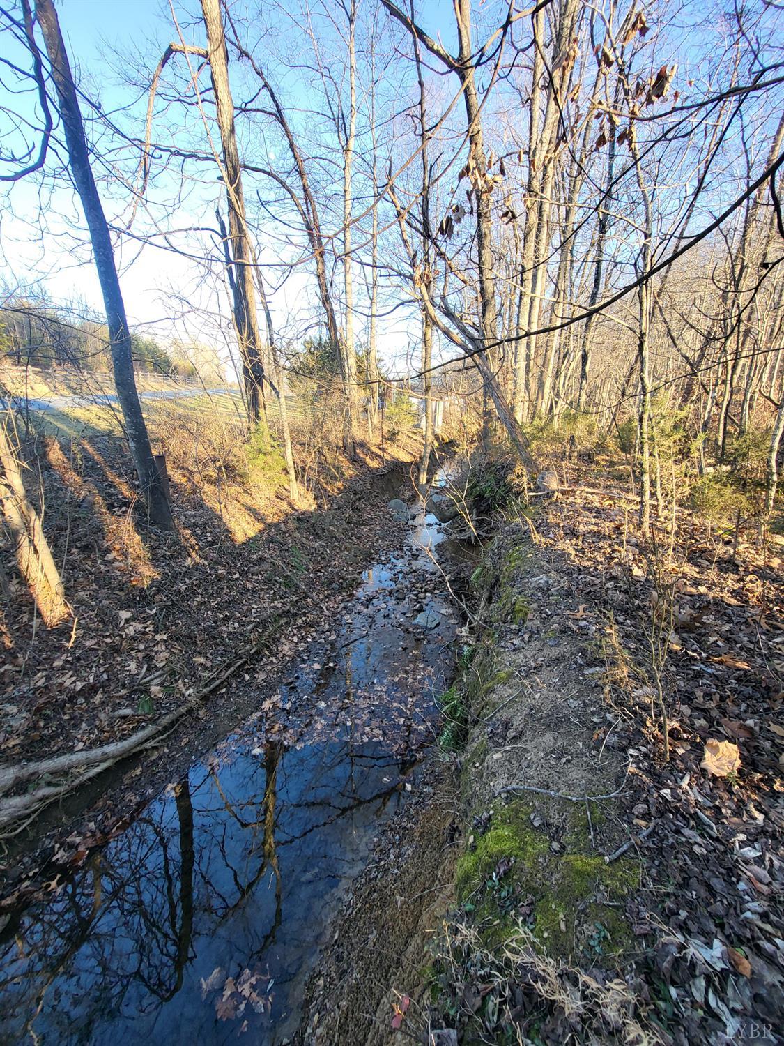 0 Bethany Road Rustburg, VA 24588 - Photo 8 of 8 a view of a forest filled with trees