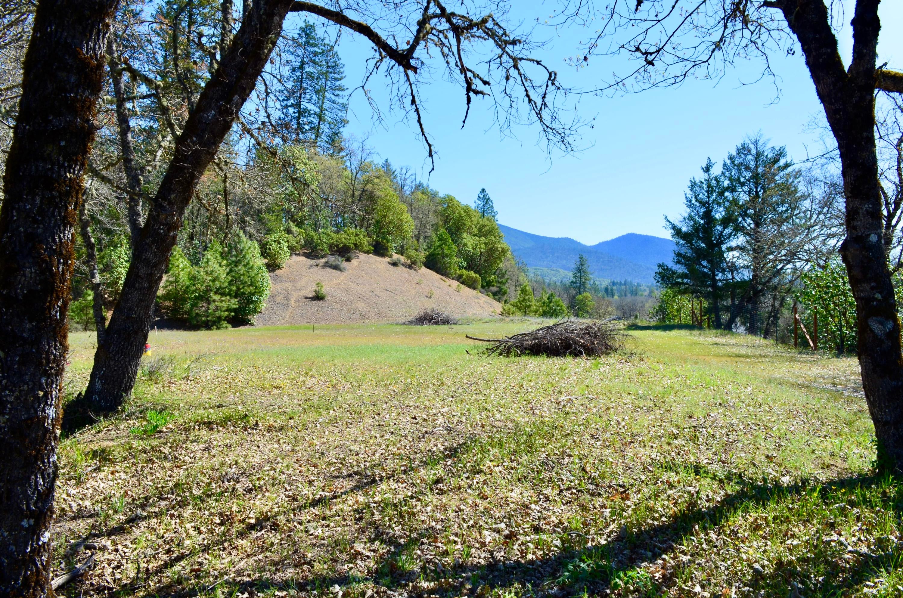 943 Pleasant Valley Road Merlin, OR 97532 - Photo 5 of 8 DSC_0958