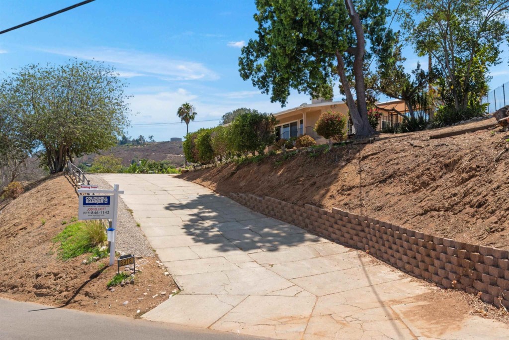a view of a yard with plants