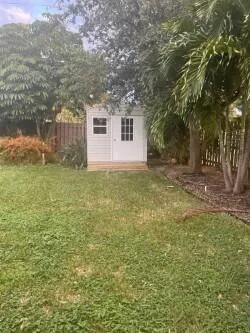 a view of a yard in front of a house with a large tree