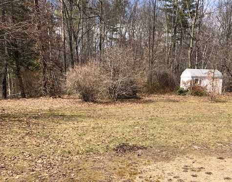 0 Deer Run Road Rumney, NH 03266 - Photo 6 of 11 Gallery Image 6