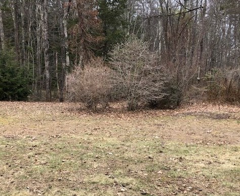 0 Deer Run Road Rumney, NH 03266 - Photo 8 of 11 Gallery Image 8