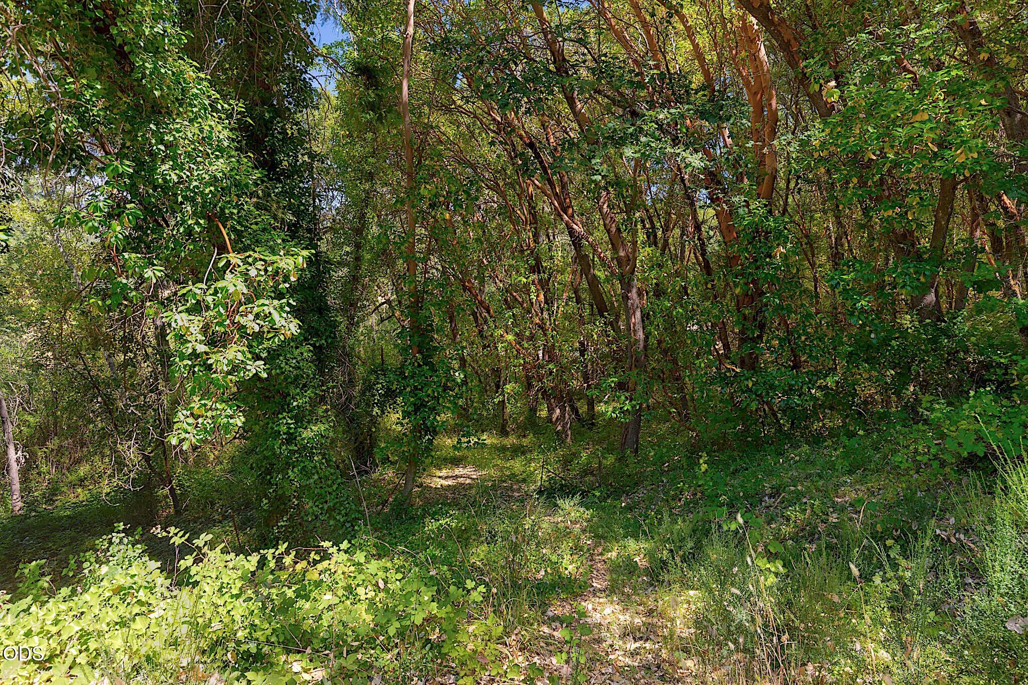 11150 Lower River Road Grants Pass, OR 97526 - Photo 45 of 108