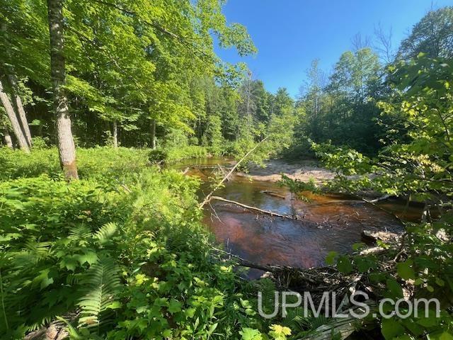 11.6 Acres Off Remington Road Marquette, MI 49855 - Photo 27 of 39