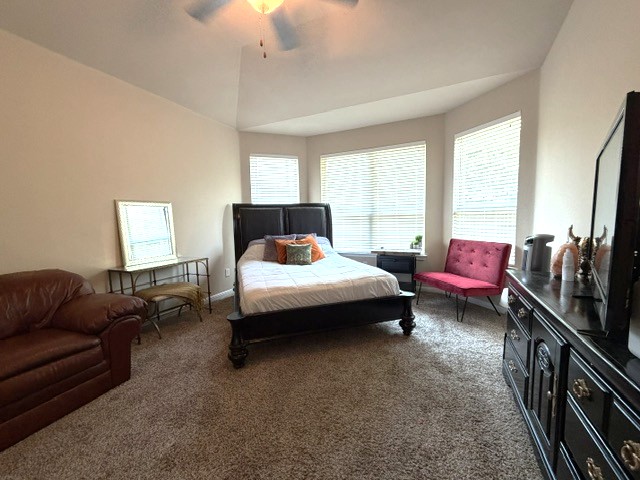 413 Anacua Loop, Unit 8 Manchaca, TX 78652 - Photo 21 of 23 High vaulted ceilings and plush carpeting define this spacious primary bedroom retreat.
