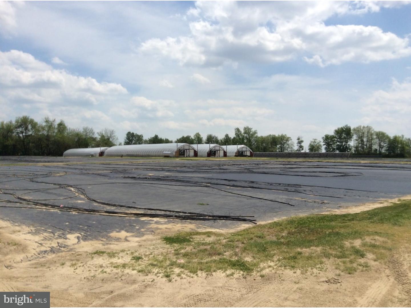 126 Sunset Drive Mannington, NJ 08079 - Photo 2 of 25 a view of a yard
