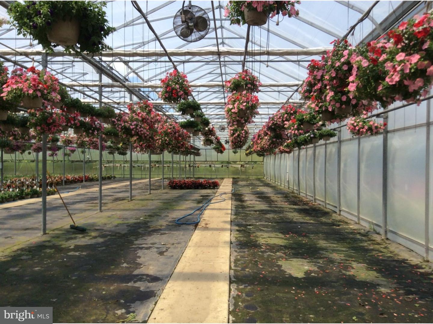 126 Sunset Drive Mannington, NJ 08079 - Photo 20 of 25 a view of a yard with a slide