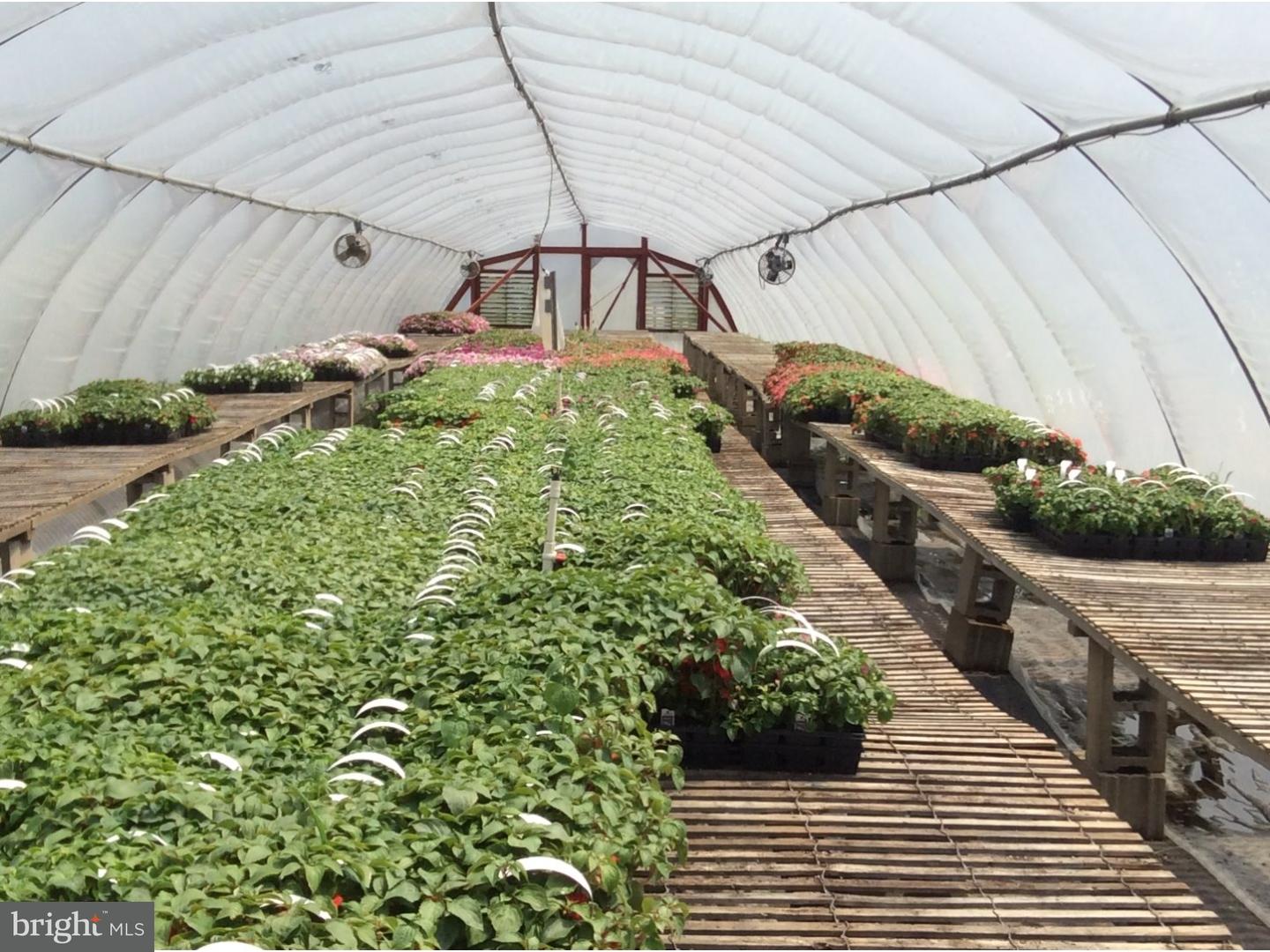 126 Sunset Drive Mannington, NJ 08079 - Photo 22 of 25 a view of a backyard