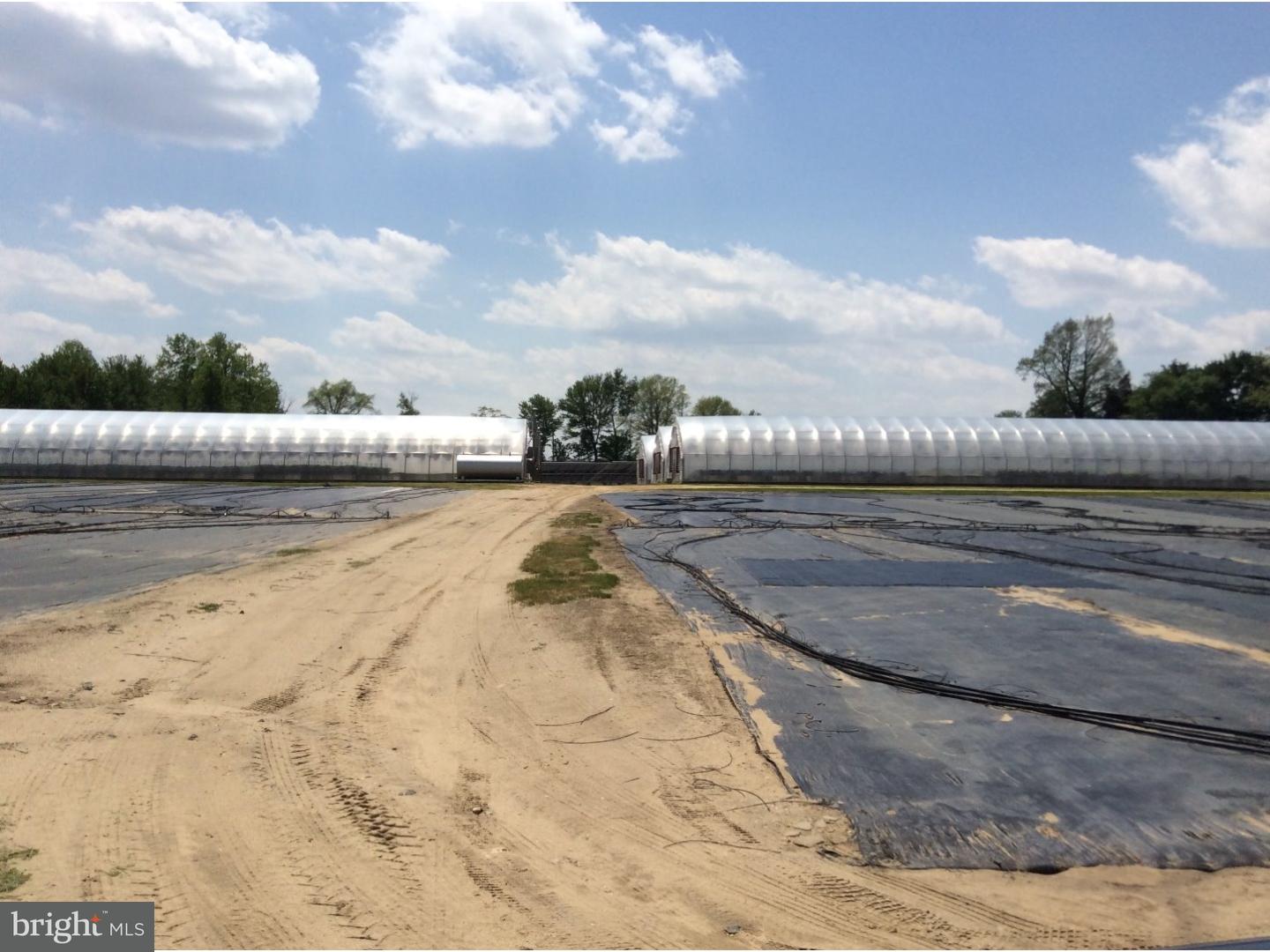 126 Sunset Drive Mannington, NJ 08079 - Photo 6 of 25 a view of a swimming pool with a yard