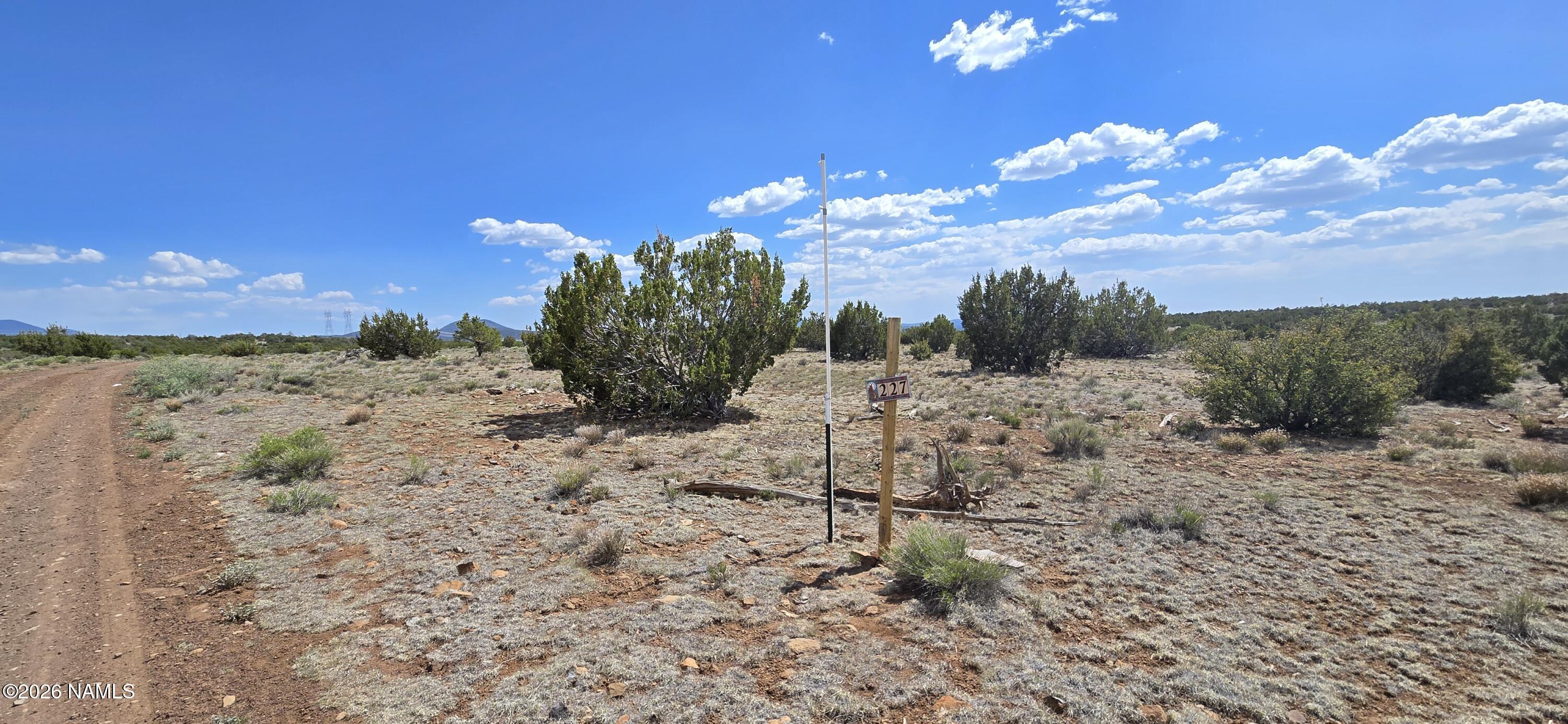 227 Mountain Cat Road Williams, AZ 86046 - Photo 8 of 13 a view of a yard with mountain view