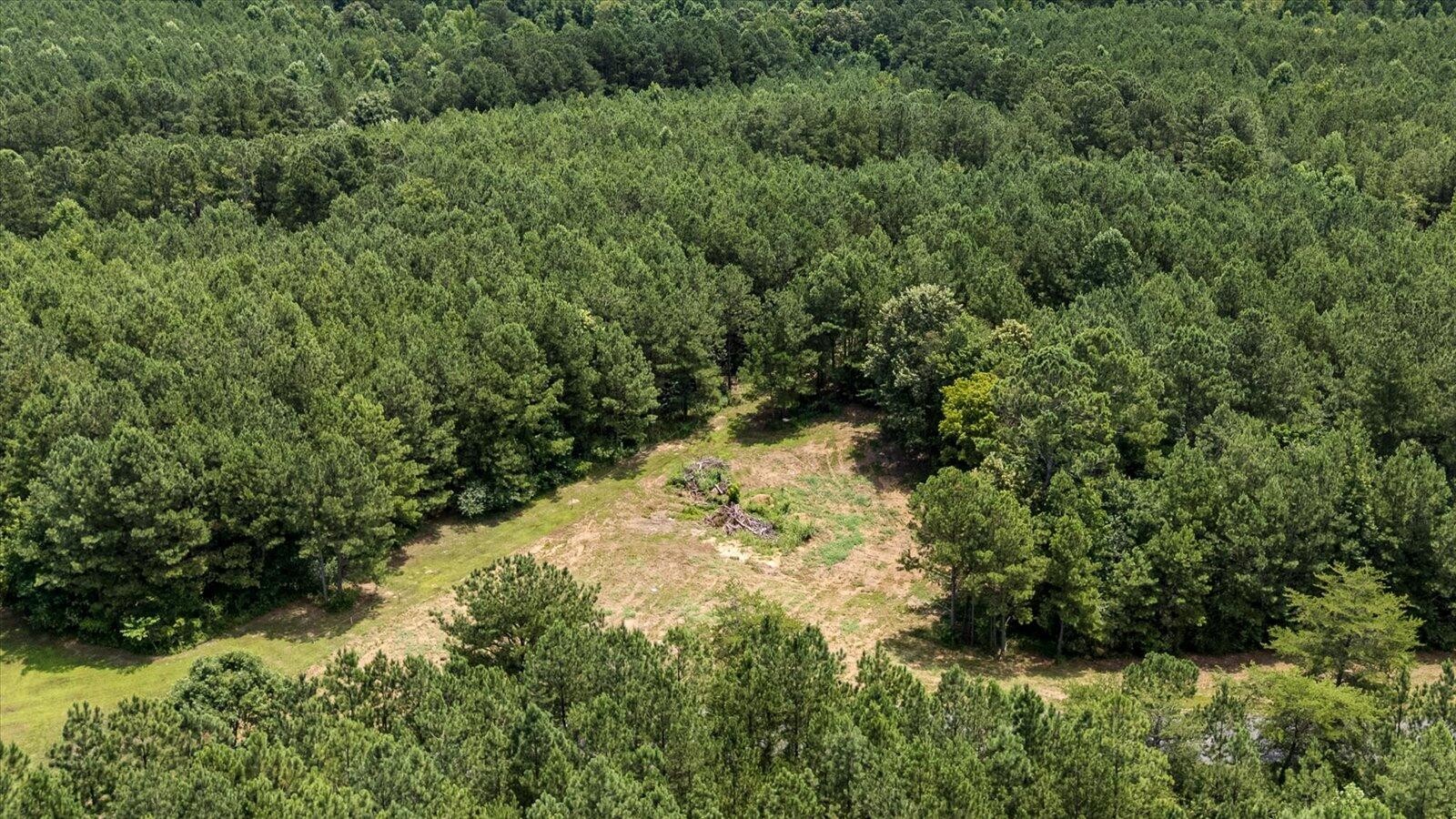 0 Washboard Road Southeast Old Fort, TN 37362 - Photo 6 of 18 Gallery Image 6