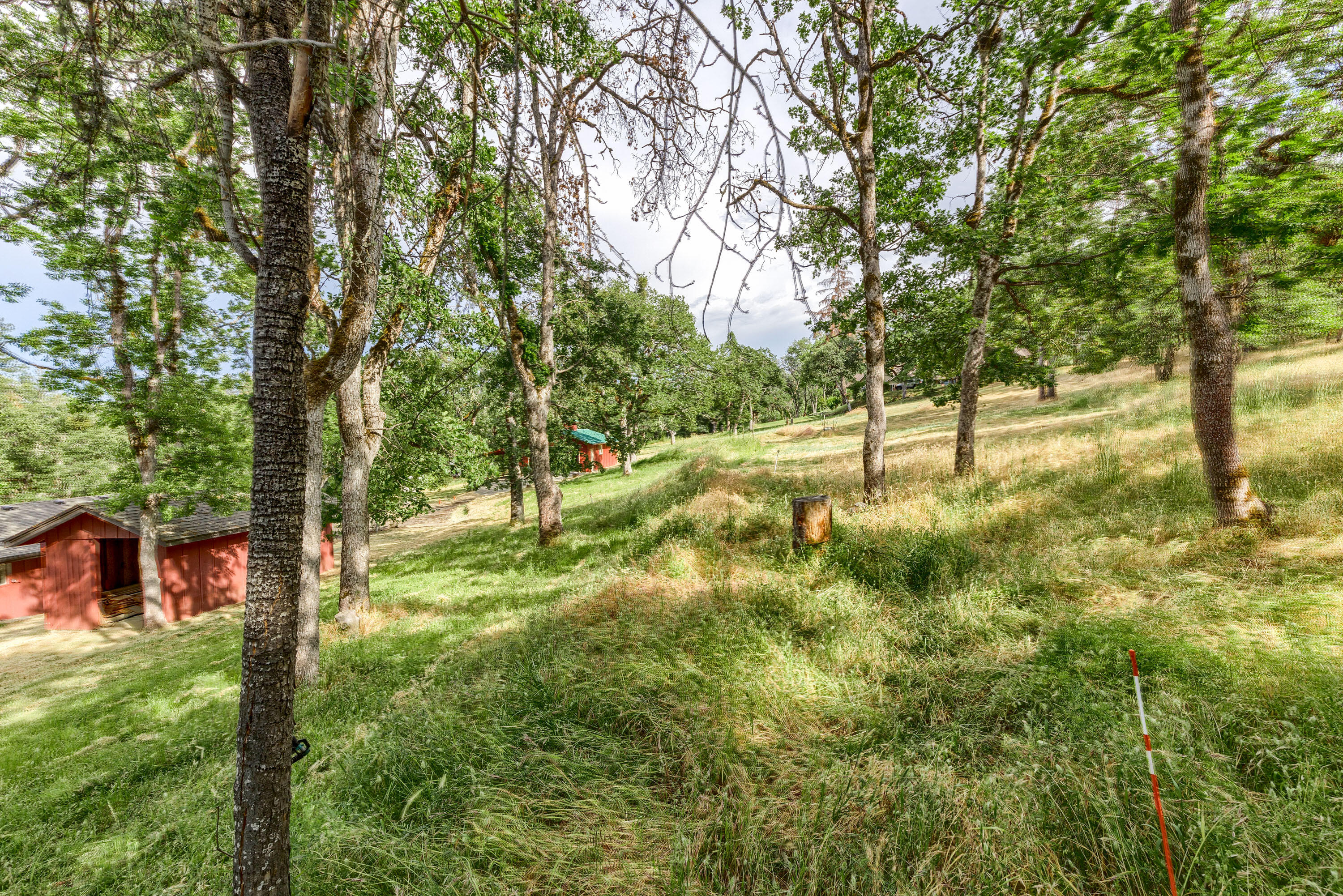4167 Old Stage Road Central Point, OR 97502 - Photo 8 of 50 a view of yard with green space