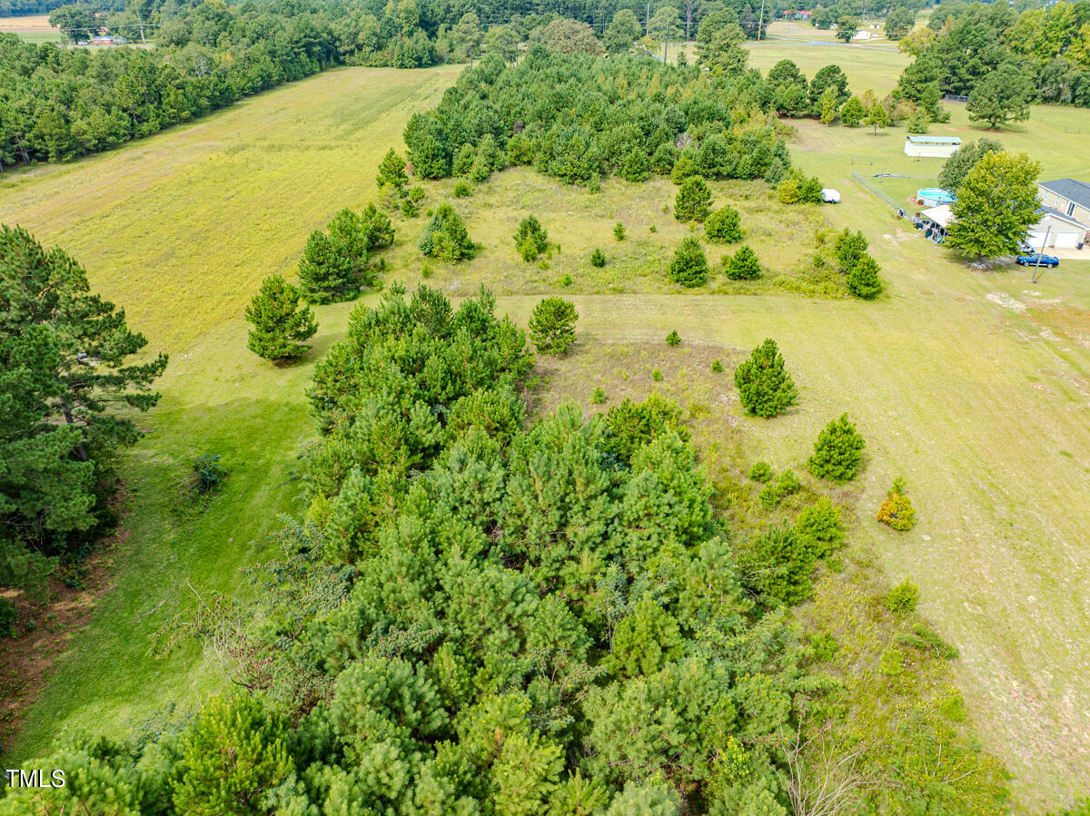 0 John Nunnery Road Stedman, NC 28391 - Photo 10 of 24 6ac - Watson - Cumberland Co. - DM (4)