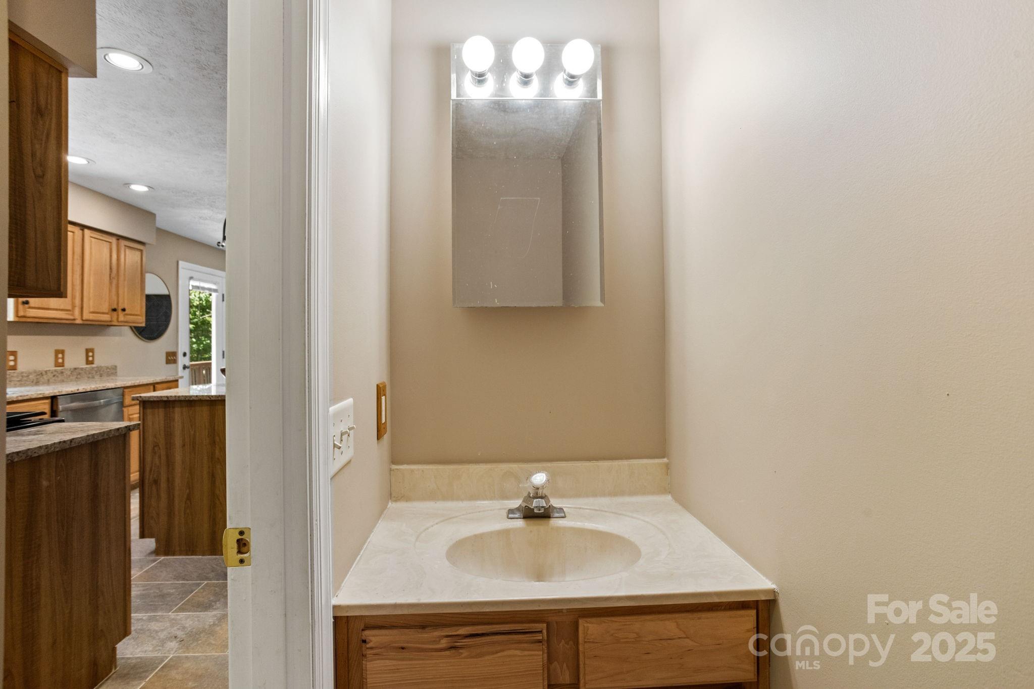 55 Vintage Road Candler, NC 28715 - Photo 14 of 47 a bathroom with a sink and a mirror