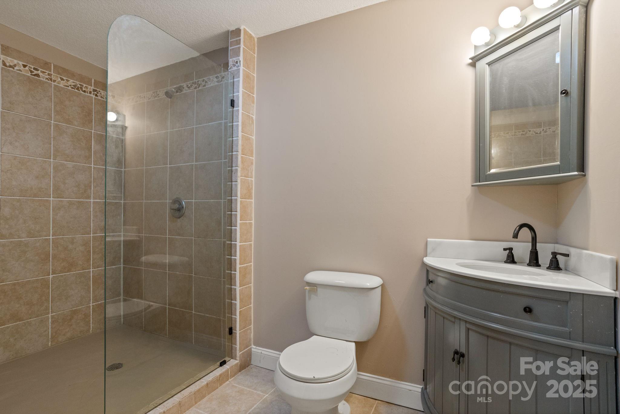 55 Vintage Road Candler, NC 28715 - Photo 35 of 47 a bathroom with a sink toilet and shower