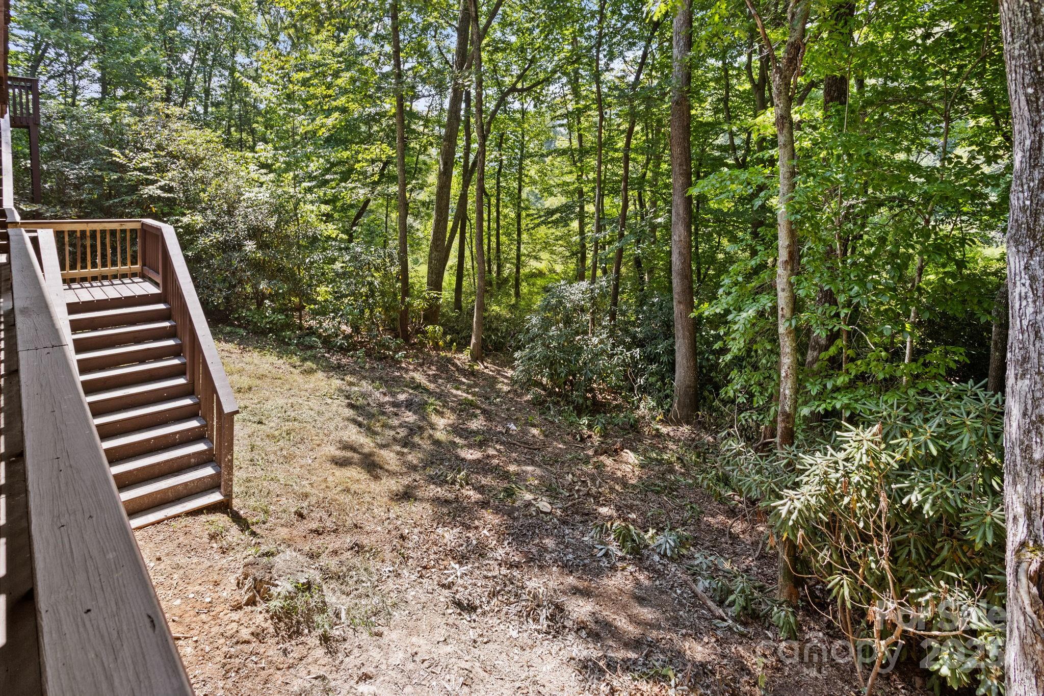 55 Vintage Road Candler, NC 28715 - Photo 40 of 47 a view of outdoor space and trees