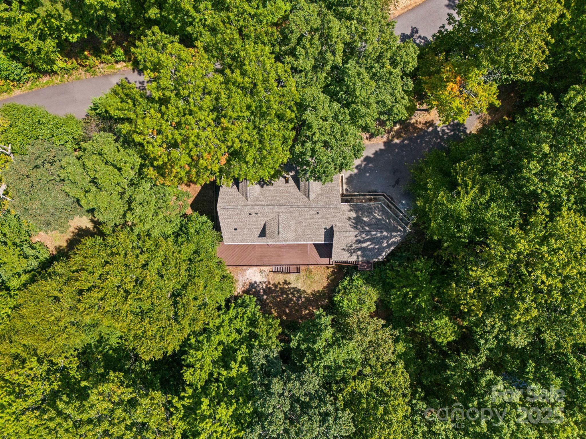 55 Vintage Road Candler, NC 28715 - Photo 42 of 47 a view of a tree in a garden