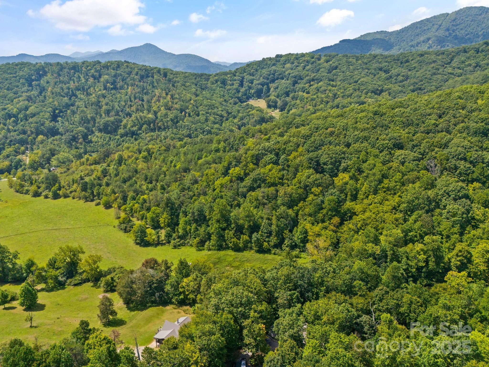 55 Vintage Road Candler, NC 28715 - Photo 45 of 47 a view of a lush green hillside and houses
