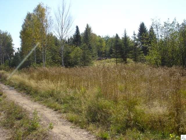 X Howard Gnesen Road Duluth, MN 55803 - Photo 1 of 1