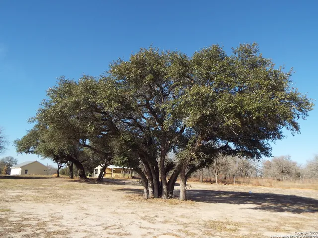 a view of a yard with a house