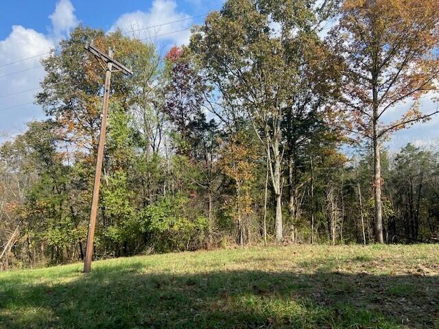881 Galbraith Road Brooksville, KY 41004 - Photo 5 of 5
