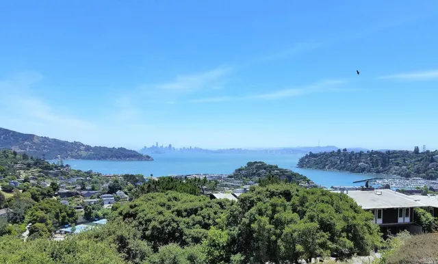 an aerial view of residential house and green space