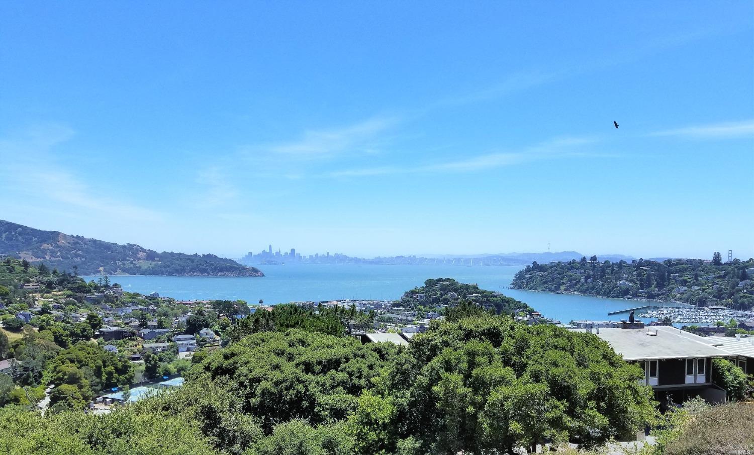 102 Red Hill Circle Tiburon, CA 94920 - Photo 1 of 20 an aerial view of residential house and green space