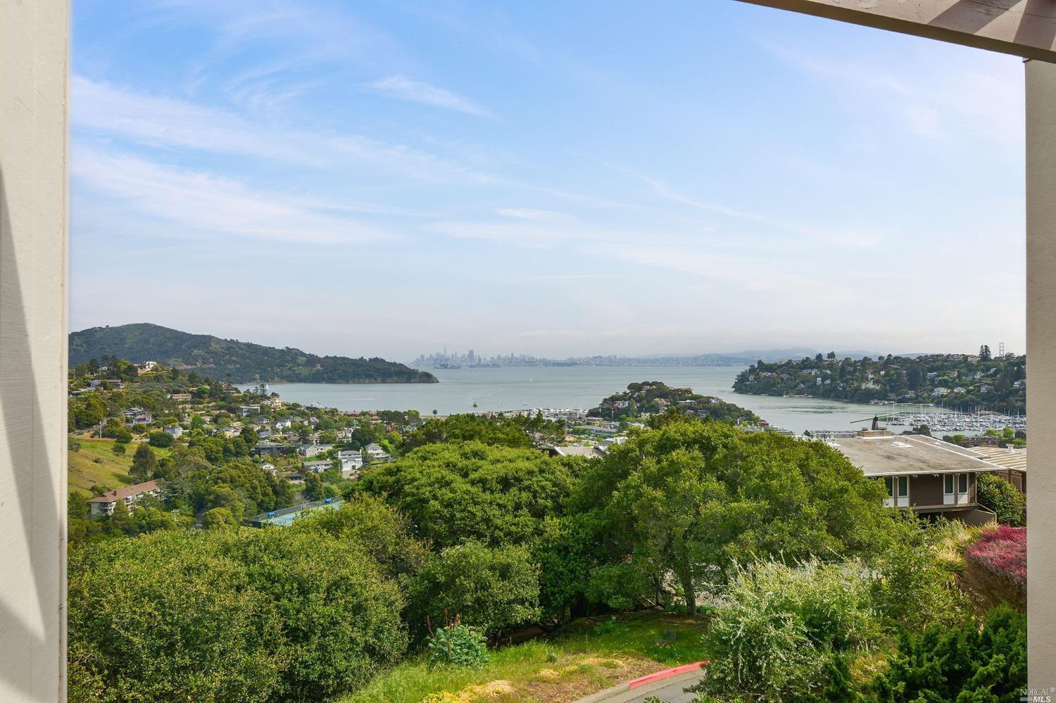 102 Red Hill Circle Tiburon, CA 94920 - Photo 15 of 20 a view of a city