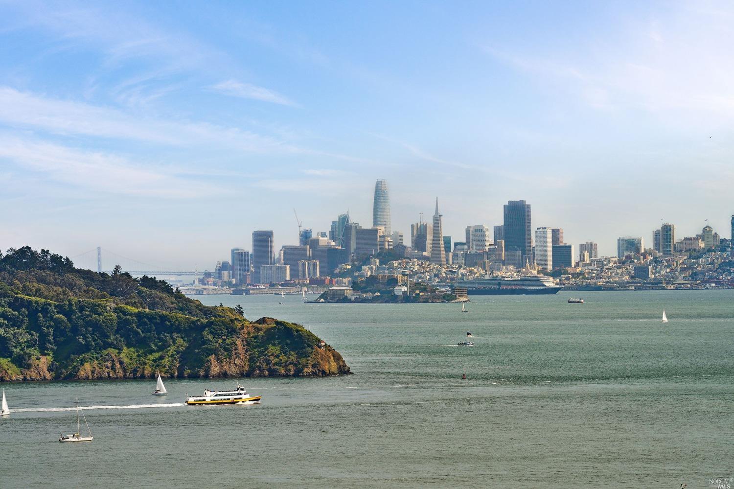 102 Red Hill Circle Tiburon, CA 94920 - Photo 18 of 20 a view of a city